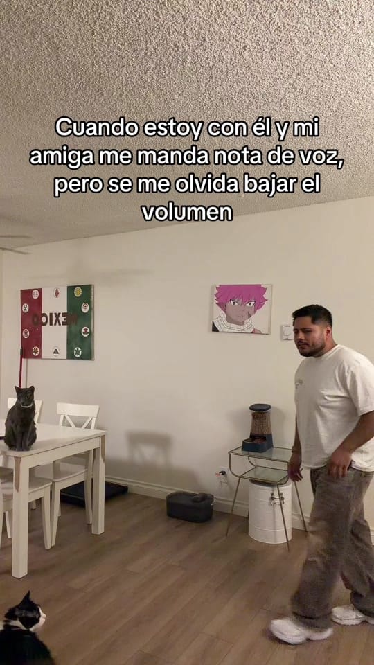 Post 5 by Lonzo Estrada on TikTok (video)
