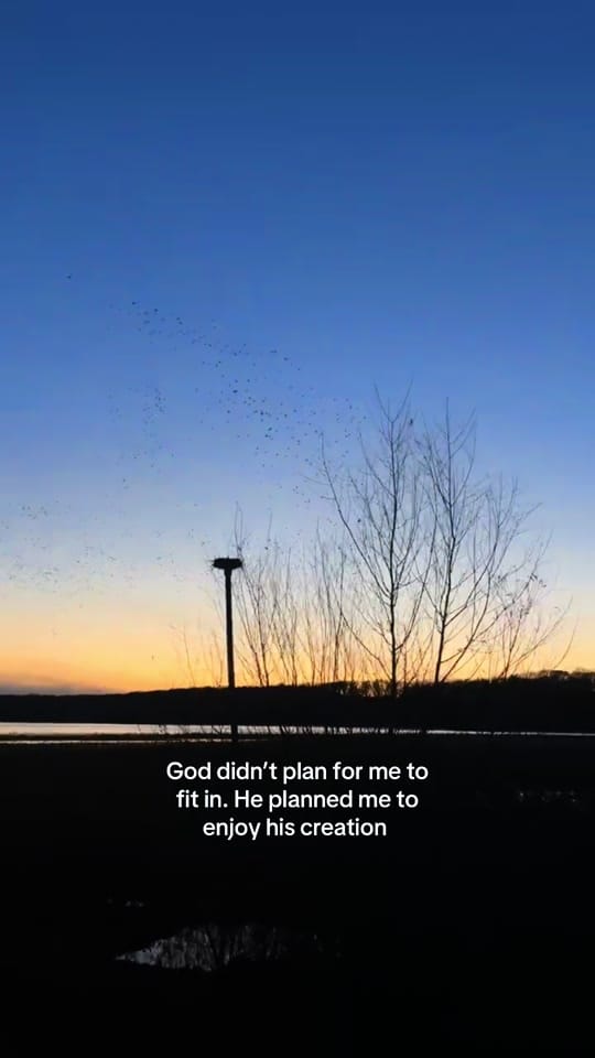 Post 10 by Hudson Jones on TikTok (video)