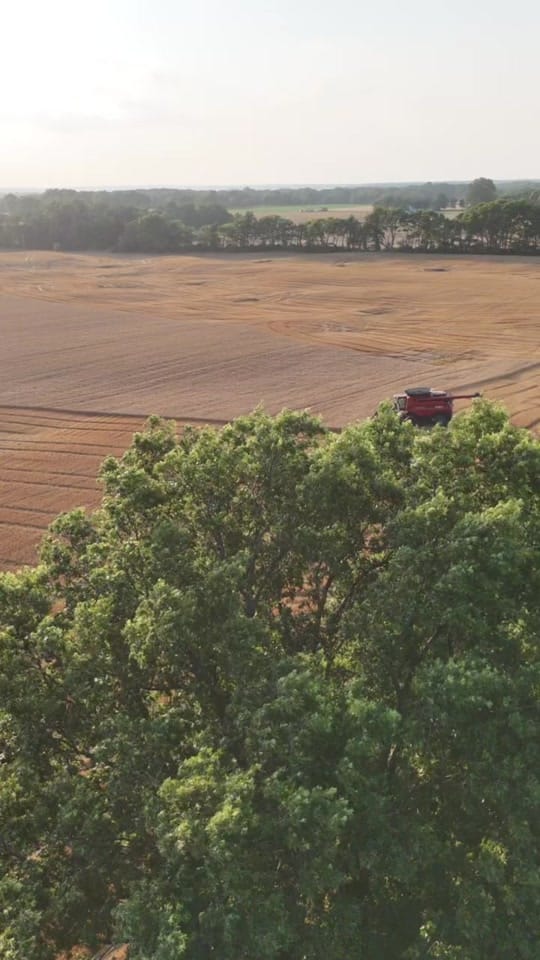 Post 4 by Hudson Jones on TikTok (video)