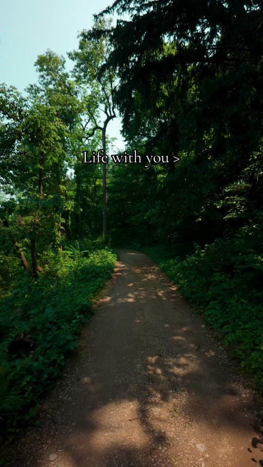 Post 3 by Filmedbyrango on TikTok (video)