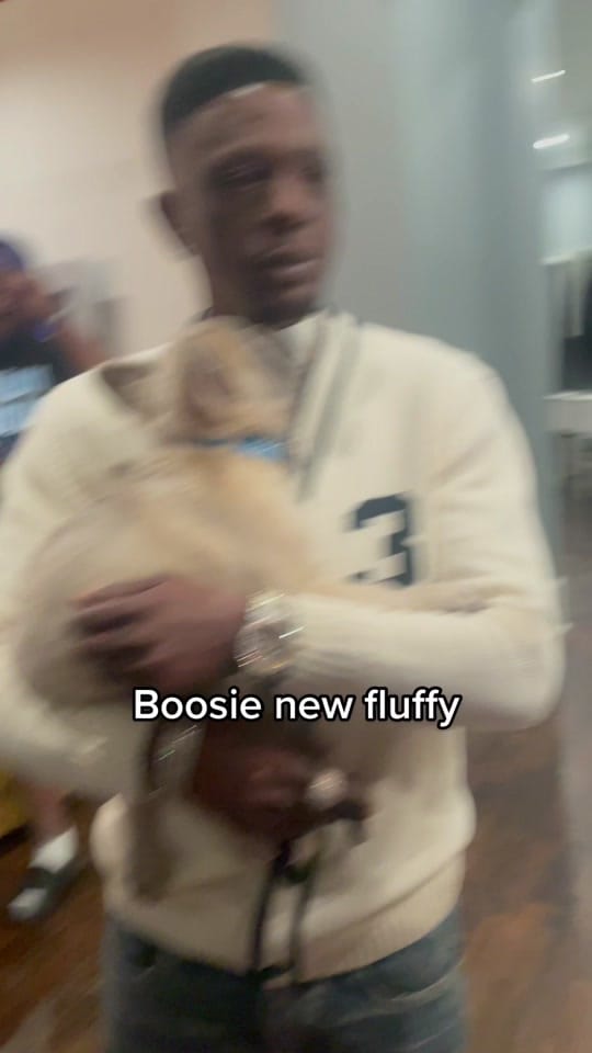 Post 10 by chuckstarfilms on TikTok (video)