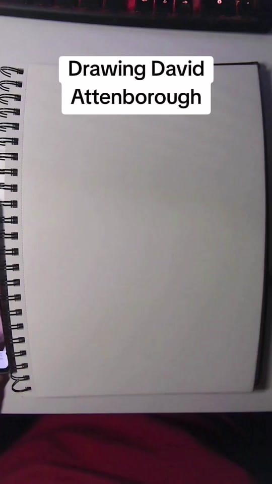 Post 4 by Ryan Jones on TikTok (video)