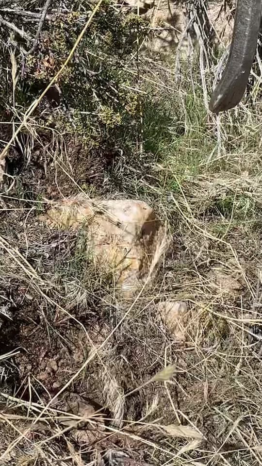 Post 9 by magicminers on TikTok (video)