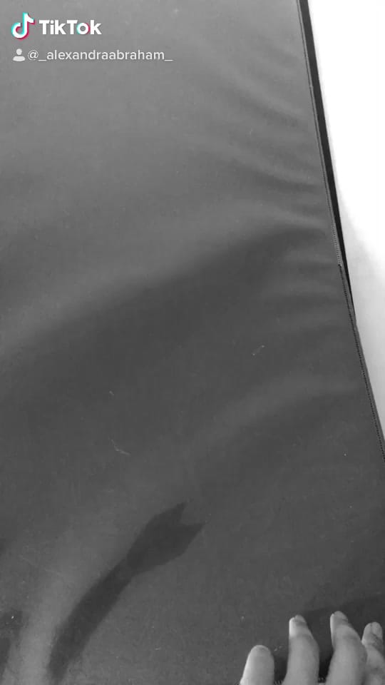 Post 9 by Alexandra Abraham on TikTok (video)