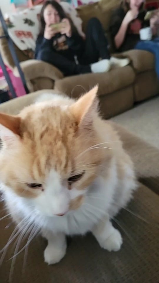 Post 1 by MTGIRL81 on TikTok (video)