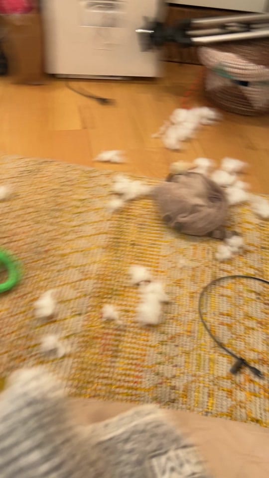 Post 4 by Carty on TikTok (video)