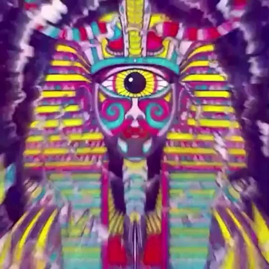 Post 10 by PatelD98 on TikTok (video)