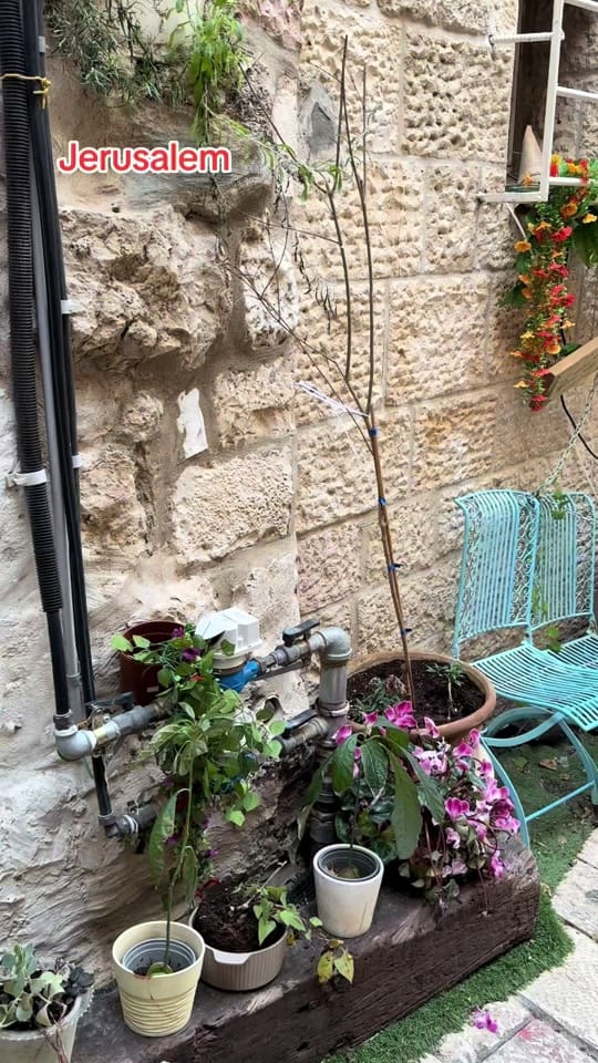 Post 1 by Jerusalem Walker on TikTok (video)