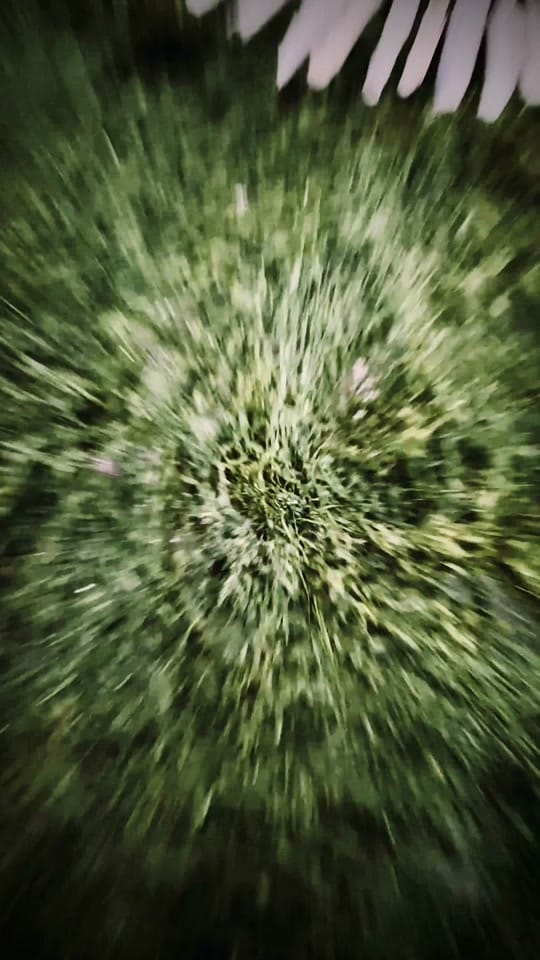 Post 2 by Laurence Winram on TikTok (video)