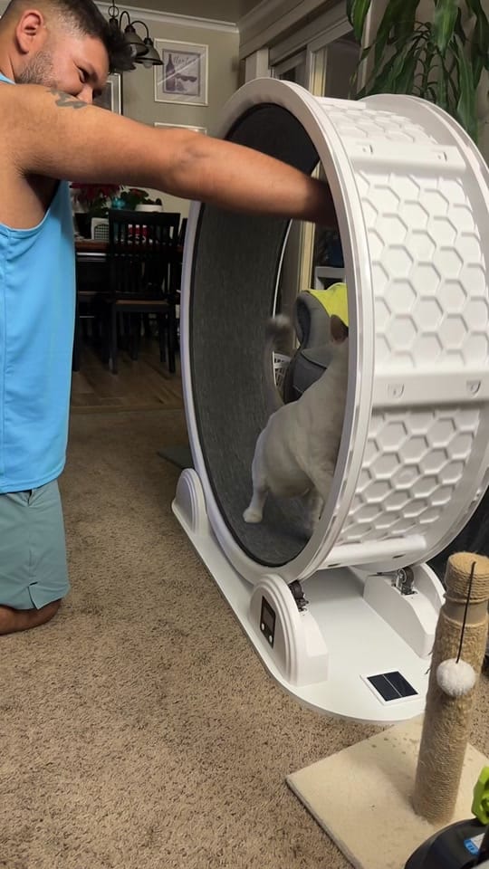Post 1 by ✨✨ JORGE GARCÍA ✨✨ on TikTok (video)