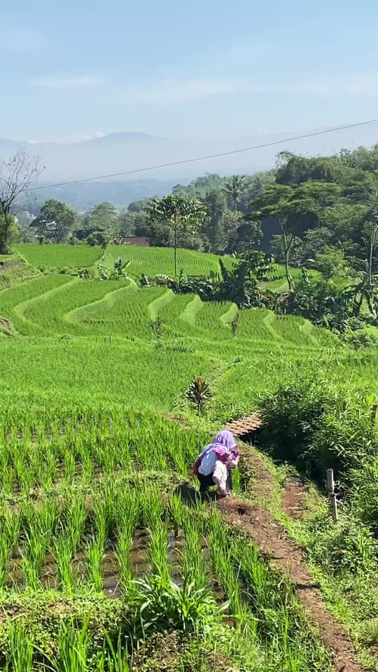 Post 7 by Arizal on TikTok (video)