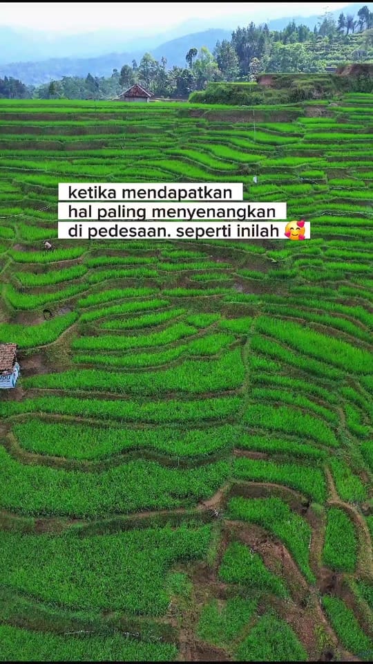Post 4 by Arizal on TikTok (video)
