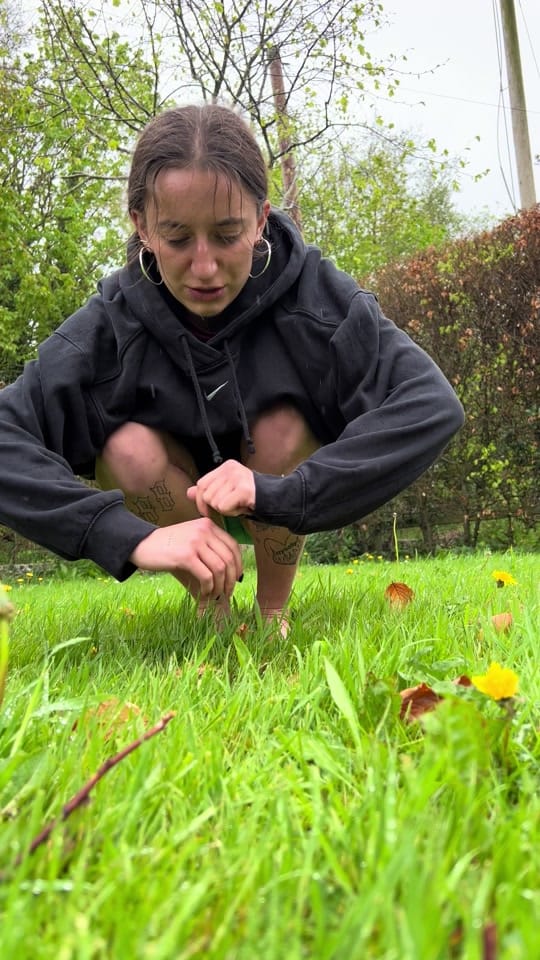 Post 1 by Lucy Fitz | lucylooola on TikTok (video)