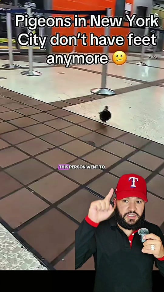 Post 9 by Mr.42 on TikTok (video)