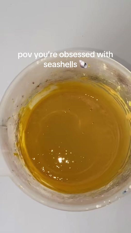 Post 6 by Ellie’s Planet on TikTok (video)
