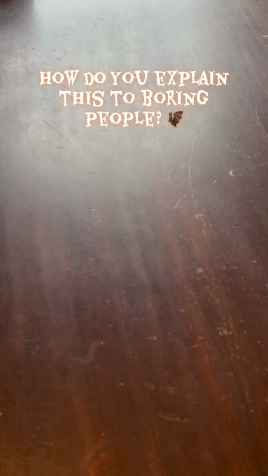 Post 3 by Ellie’s Planet on TikTok (video)