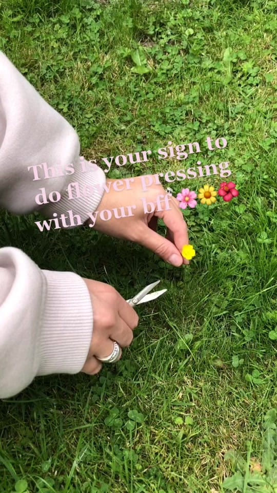 Post 9 by Ellie’s Planet on TikTok (video)