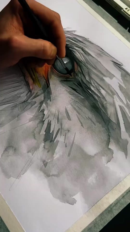 Post 2 by Matt Sparkes on TikTok (video)