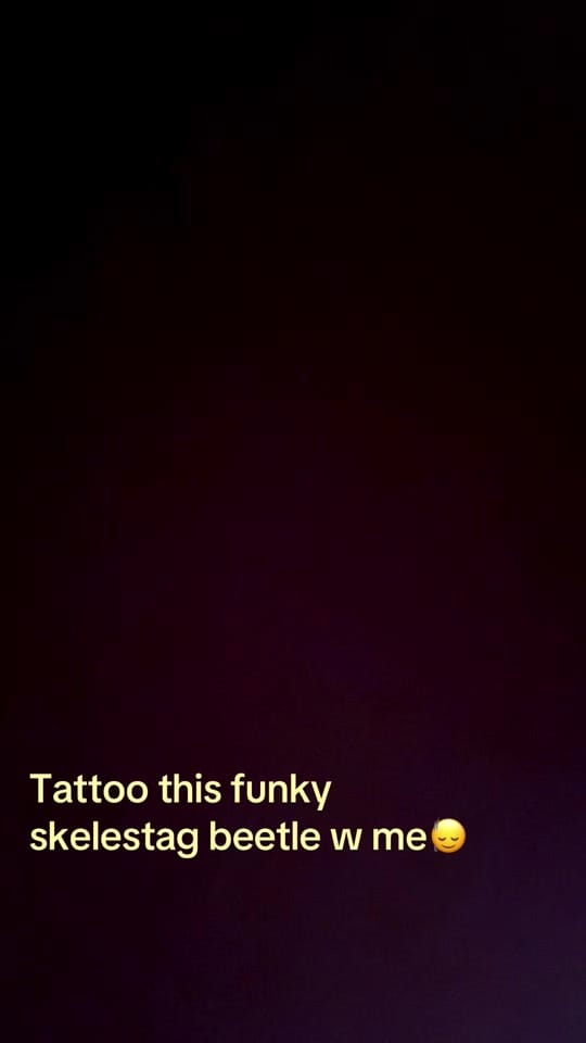 Post 2 by Yasmin🙂‍↕️🥀Tattoos & Travel✨ on TikTok (video)