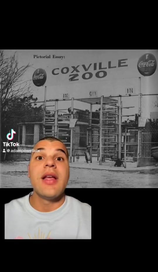 Post 3 by Adam Powell on TikTok (video)