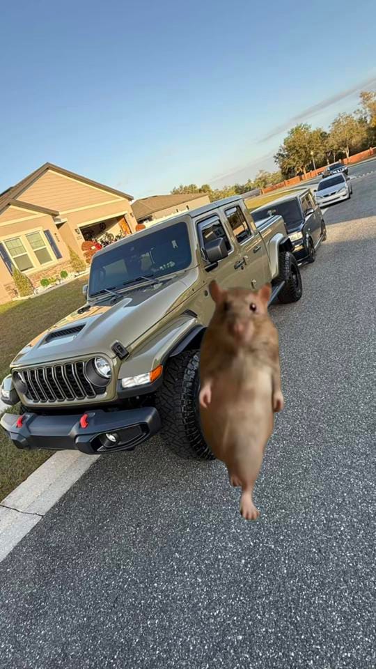 Post 6 by Jerry & Molly Bully 2022 on TikTok (video)