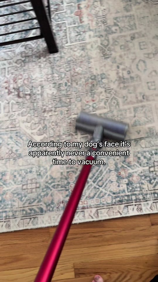 Post 1 by Liz | Chicago Photographer on TikTok (video)