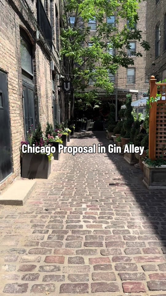 Post 5 by Liz | Chicago Photographer on TikTok (video)