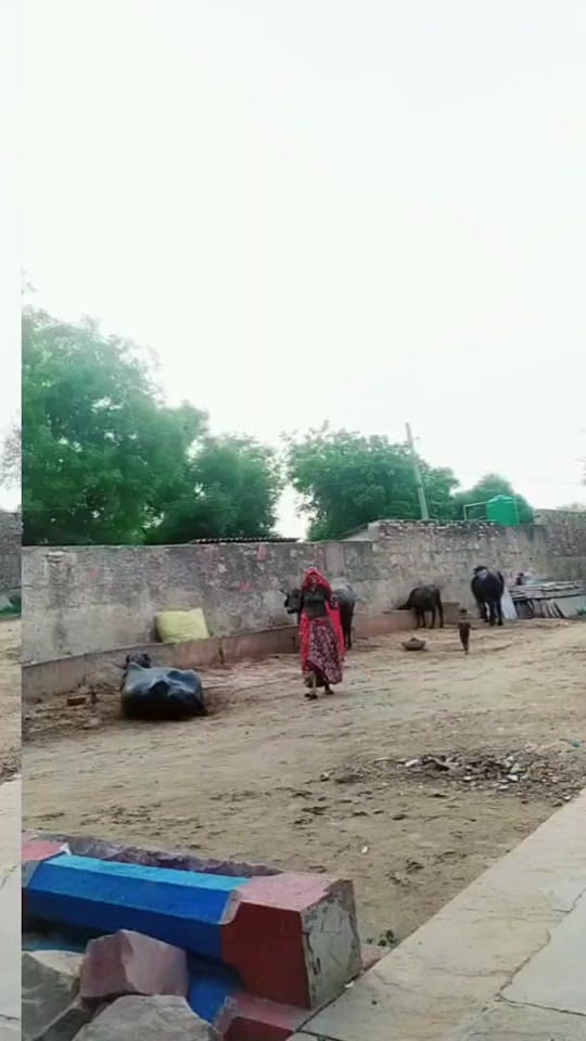 Post 6 by user2467690250631 on TikTok (video)