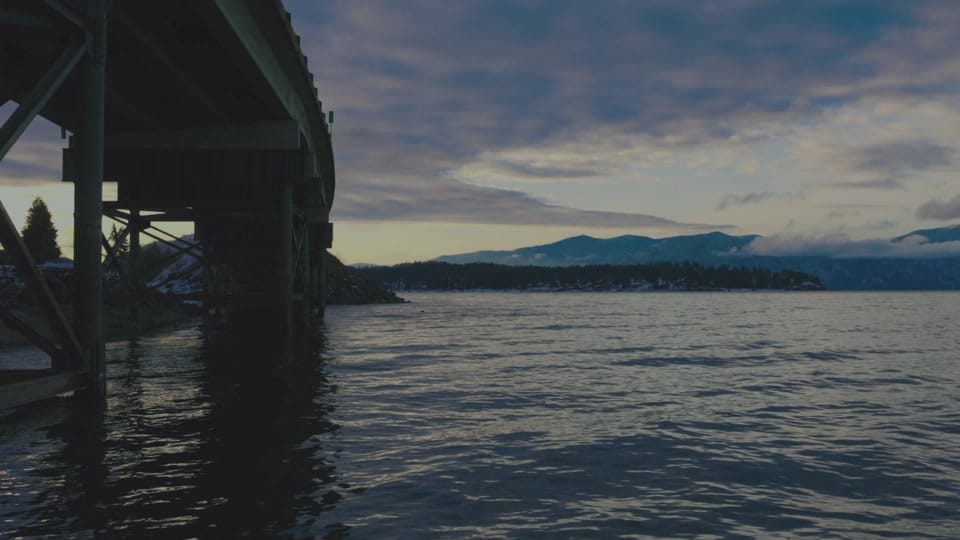 Post 4 by philthy.nature on TikTok (video)