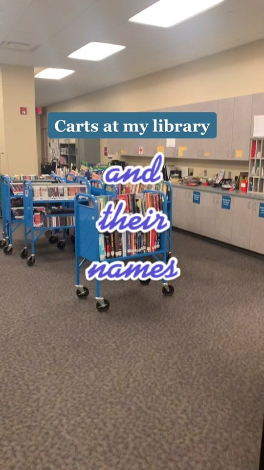 Post 10 by 📚 MidwestBookSlinger 📚 on TikTok (video)
