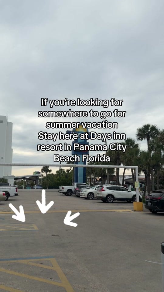 Post 10 by 🌴🐝Tilly_In_Florida🐝🌴 on TikTok (video)