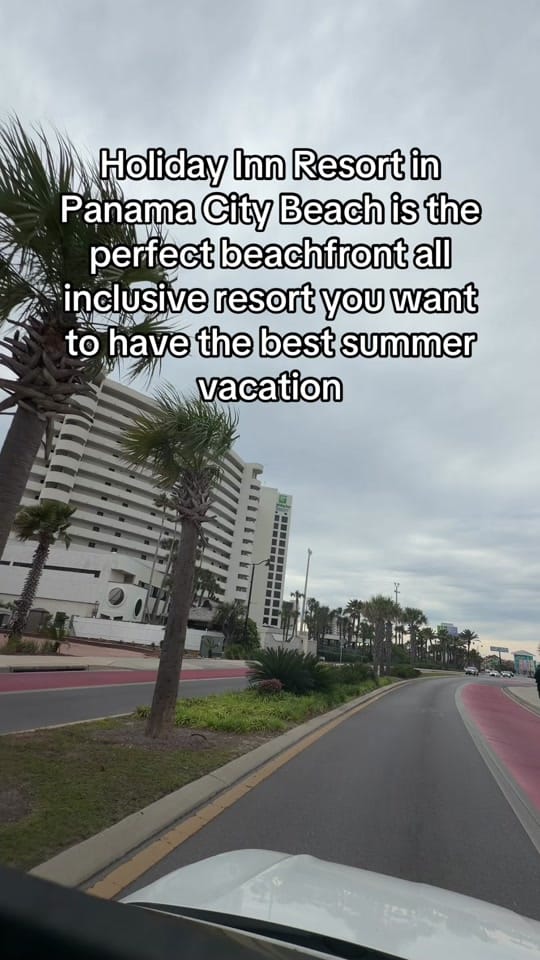 Post 6 by 🌴🐝Tilly_In_Florida🐝🌴 on TikTok (video)