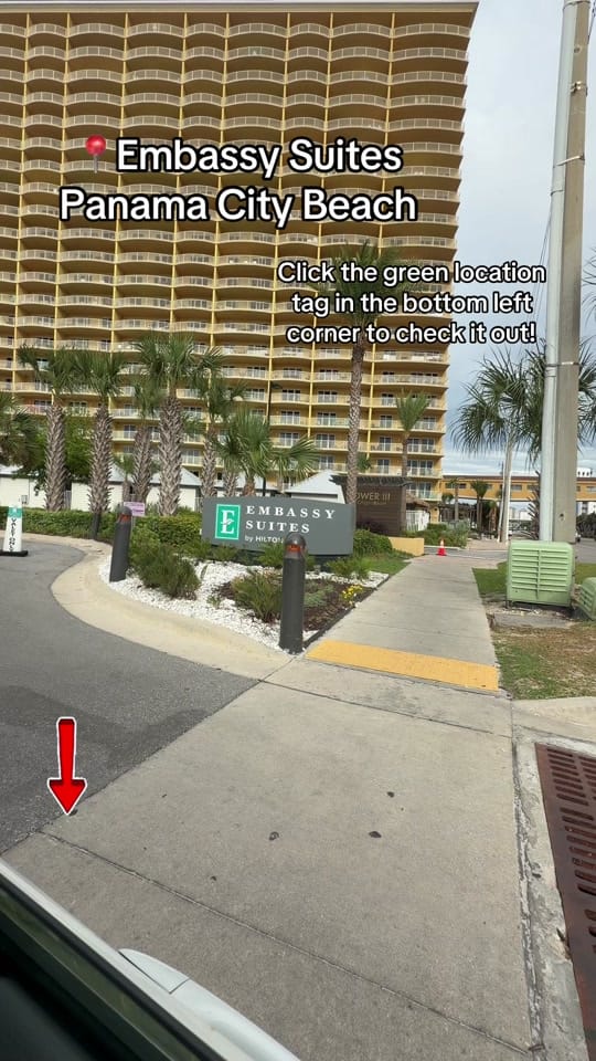 Post 9 by 🌴🐝Tilly_In_Florida🐝🌴 on TikTok (video)