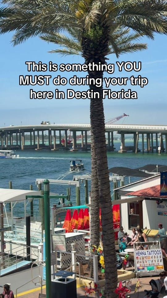 Post 7 by 🌴🐝Tilly_In_Florida🐝🌴 on TikTok (video)