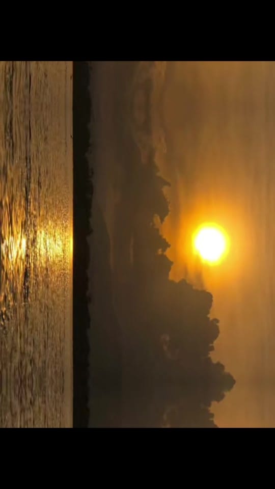 Post 4 by ViMan on TikTok (video)