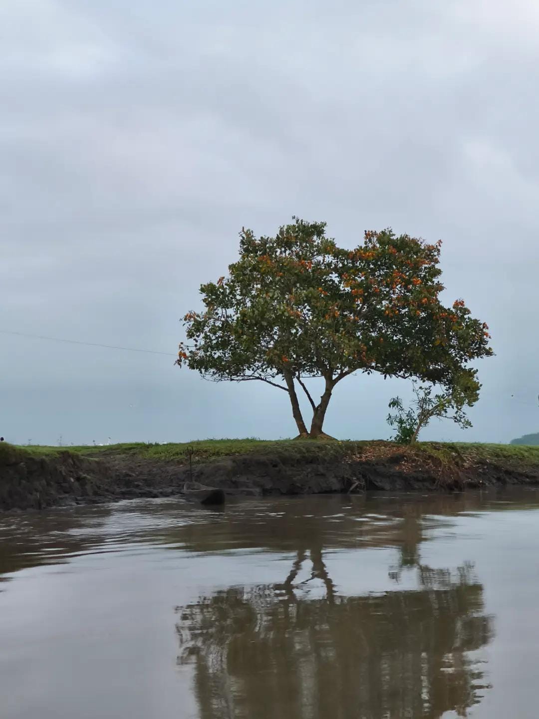 Post 3 by ViMan on TikTok (video)