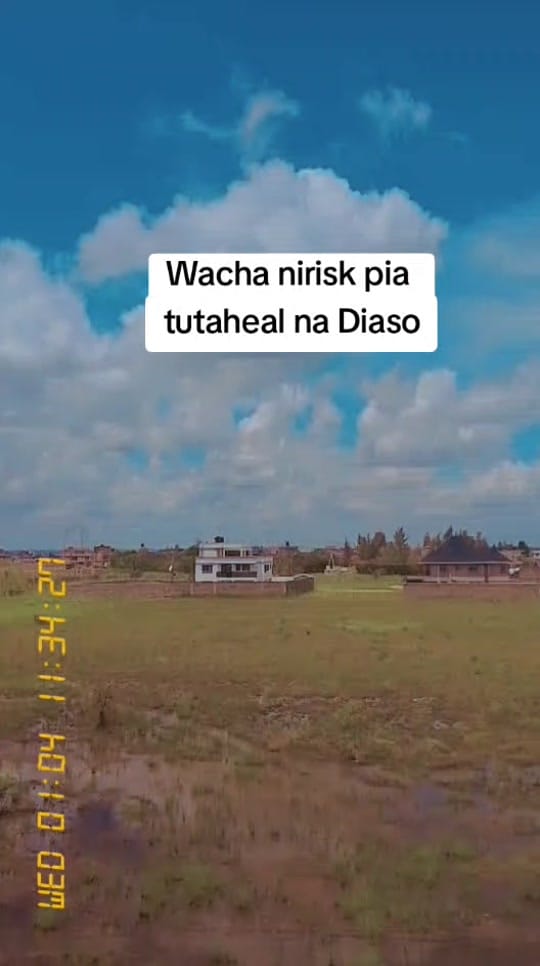 Post 6 by Wainaina ✨💜 on TikTok (video)