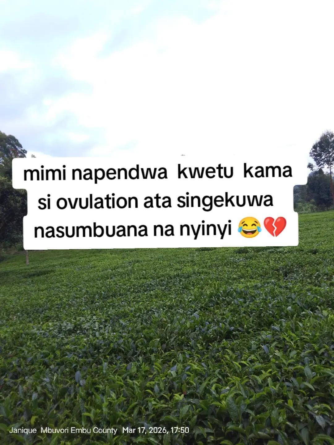 Post 8 by Wainaina ✨💜 on TikTok (video)