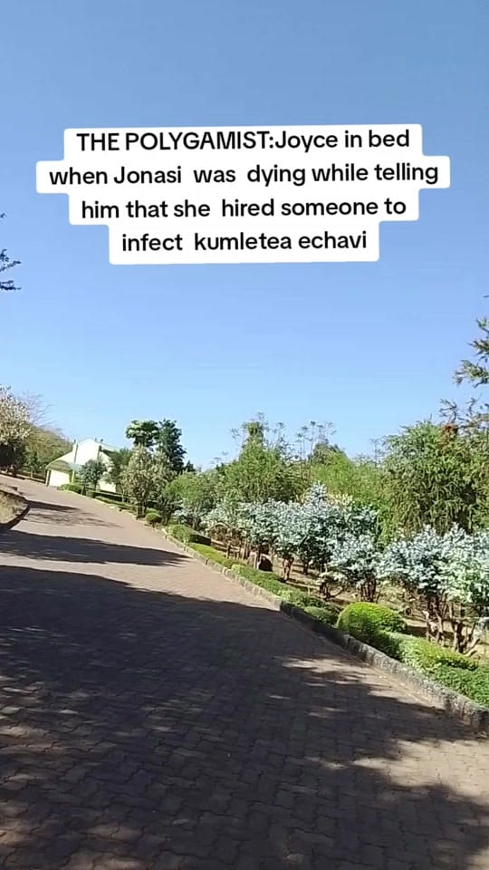 Post 1 by Wainaina ✨💜 on TikTok (video)