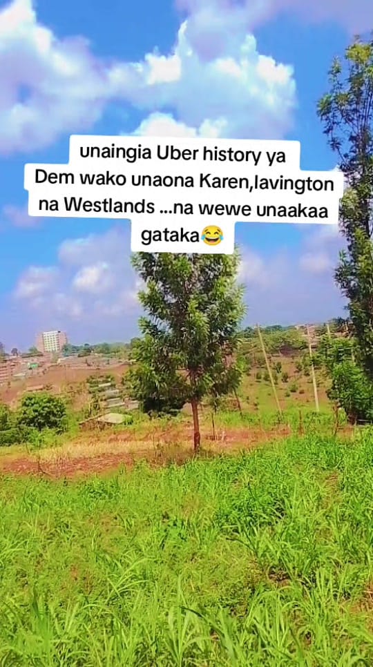 Post 5 by Wainaina ✨💜 on TikTok (video)