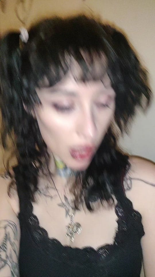 Post 5 by Holly 🐈‍⬛ on TikTok (video)