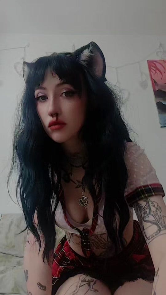 Post 7 by Holly 🐈‍⬛ on TikTok (video)
