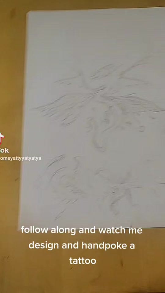 Post 9 by Holly 🐈‍⬛ on TikTok (video)