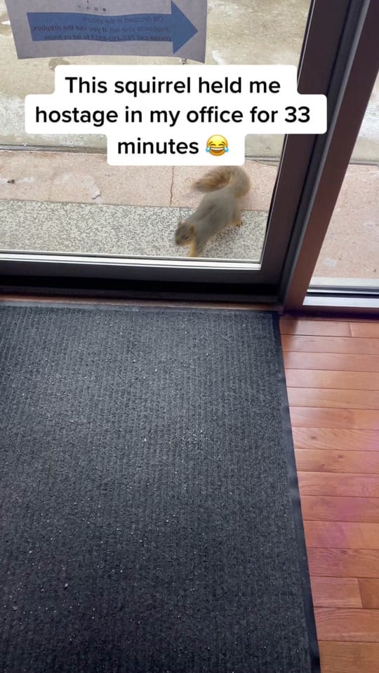 Post 10 by C a r r i e ☀️🌻 on TikTok (video)