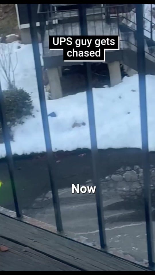 Post 5 by Carlisle's Random Clips on TikTok (video)