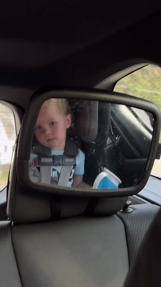 Post 8 by Carlisle's Random Clips on TikTok (video)
