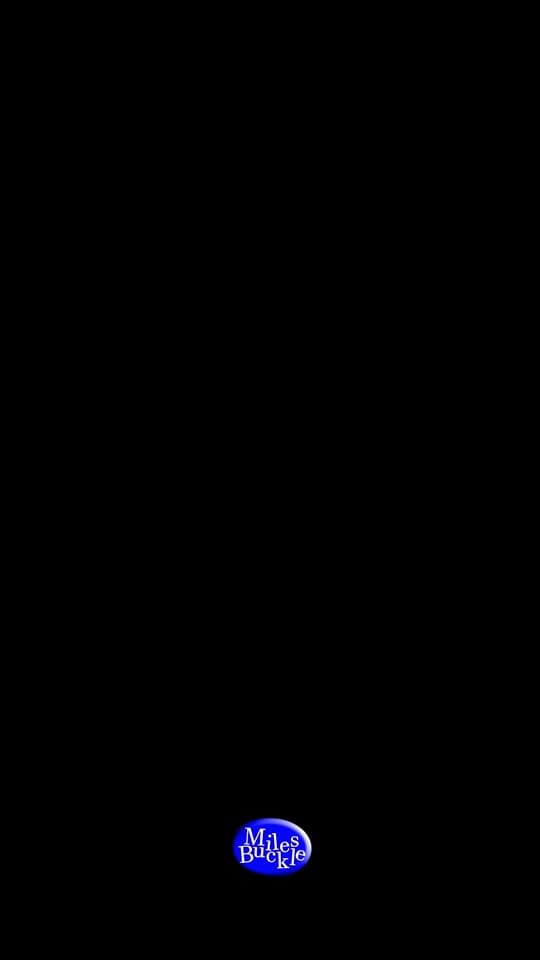 Post 10 by milesbuckle.exe on TikTok (video)