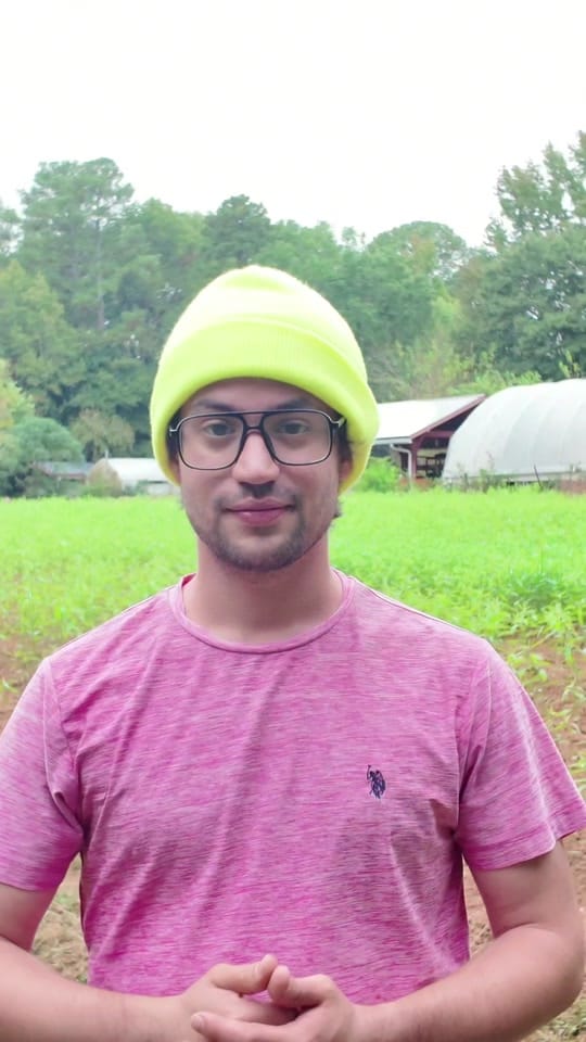 Post 9 by Ancient Atlanta on TikTok (video)