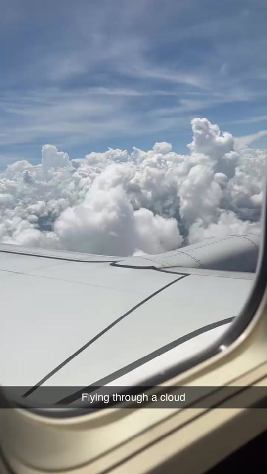 Post 7 by Jinx 🍉🍉🍉 on TikTok (video)