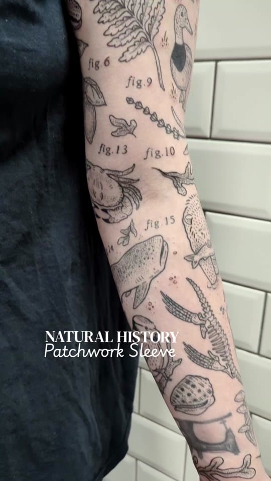 Post 8 by Cosmic Ginge Tattoo 🦋 on TikTok (video)